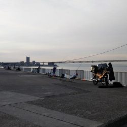 初夏なのに寒い・・・